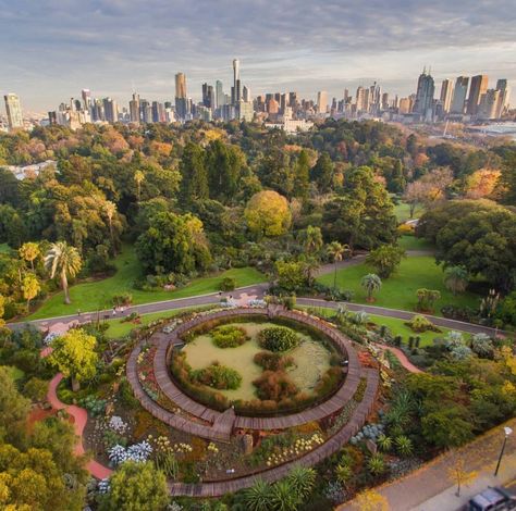 Melbourne Garden, Royal Botanic Gardens, Visit Melbourne, Gladioli, Spring City, Royal Park, Rain Protection, Picnic Spot, Royal Garden