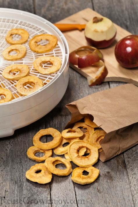 Dehydrated Apples Recipe, Dehydrated Apple Chips, Dehydrate Apples, Dehydrating Apples, Apple Chips Dehydrator, Preserve Apples, Dehydrated Banana Chips, Dehydrator Recipes Fruit, Dried Apple Rings