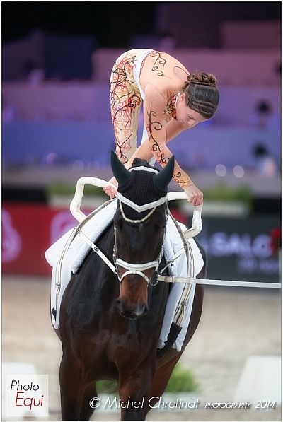 Equestrian Vaulting, Vaulting Equestrian, Horse Vaulting, Trick Riding, Horse Story, Different Sports, Funny Horse, Equestrian Sports, Horse Crazy