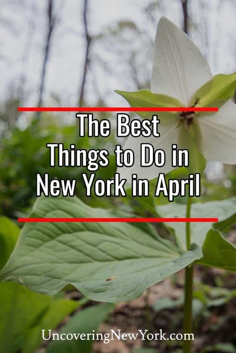 There are a ton of great things to do in New York in April. Check out a few of our picks for the best events, festivals, and more throughout the state. New York In April, New York In March, York Things To Do, Craft Beer Festival, Hiking Club, Lake George Village, Spring In New York, New York Winter, To Do In New York