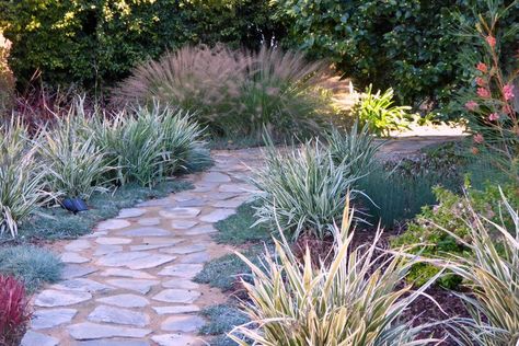 See a California Coastal Front Yard Get a Drought Tolerant Makeover Drought Tolerant Plants California, Beach Theme Garden, Coastal Backyard, Drought Tolerant Landscape Front Yard, Landscaping Architecture, Pebble Beach California, California Backyard, Backyard Walkway, Drought Resistant Plants