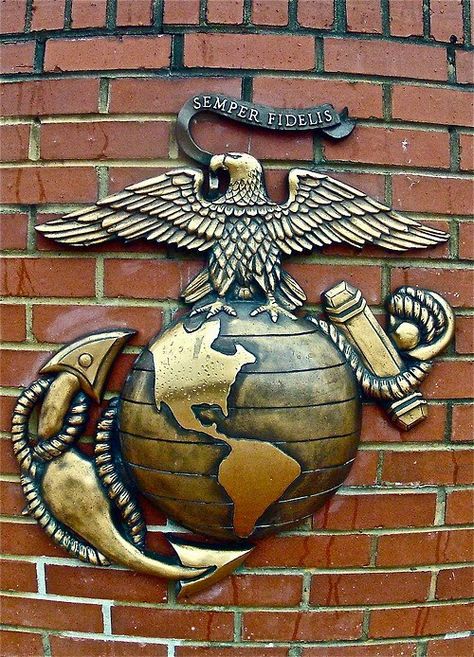 Eagle, globe and anchor! Eagle Globe Anchor, Eagle Globe And Anchor, Marine Corps Humor, Sarah Grace, Once A Marine, Semper Fidelis, Devil Dogs, Military Quotes, Marine Mom