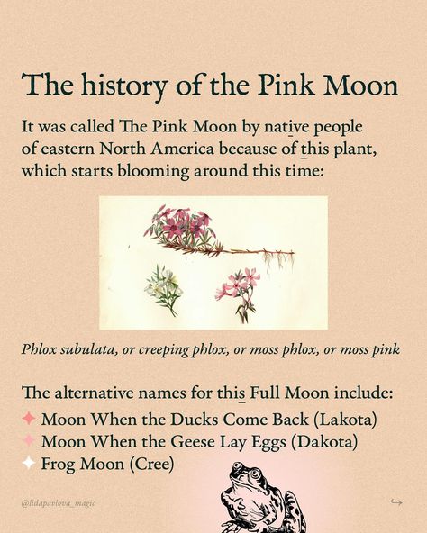 My favorite Full Moon is upon us, magical beings!🪶✨🦔 What are we gonna do with its radiant fresh magic? As always, two reminders: 🎞️ the energy and magic of each Full Moon stays with us for the whole Moon month ahead (that means — right until the next Full Moon) 🎞️ this is mostly valid for the Northern Hemisphere. I’ll post about this Full Moon in the Southern Hemisphere specifically soon. But, of course, if something from the Pink Moon’s meaning and witchcraft practices resonates with y... Witchcraft Inspiration, Pink Full Moon, Next Full Moon, Moon Magick, Magical Beings, Moon Witch, What Are We, Magic Aesthetic, Pink Moon