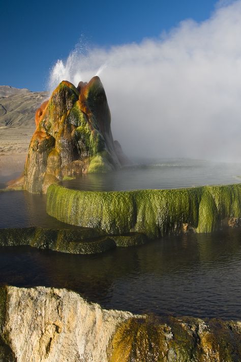 Fly Geyser Fly Geyser Nevada, Fly Geyser, Black Rock Desert, Nevada Usa, Black Rock, Oh The Places Youll Go, Amazing Nature, Natural Wonders, Beautiful World