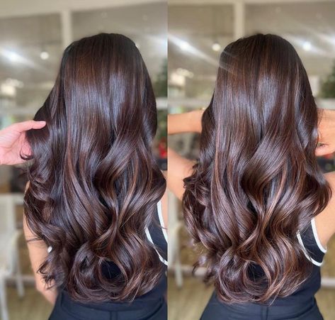 Mocha Brown Highlights On Black Hair, Chocolate Brown Babylights, Black Hair With Brown Highlights, Rich Brunette Hair, Anna Hair, Wedding Hair Colors, Beige Hair, Dramatic Hair, Brown Hair Looks