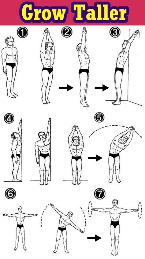 Tips To Increase Height, Get Taller Exercises, How To Get Tall, Grow Taller Exercises, Taller Exercises, Increase Height Exercise, Height Growth, Grow Taller, Latihan Kardio