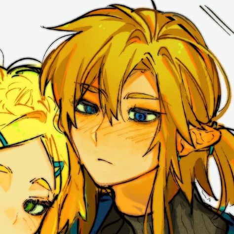 Link And Zelda Pfp, Zelink Matching Icons, Link Matching Pfp, Zelda Matching Pfp, Couple Pfps, Match Icons, Best Anime Couples, Art Tools Drawing, Pfp Ideas