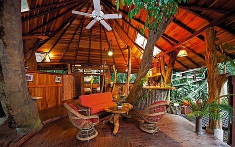 Tropical Tree House Lodge in Costa Rica Luxury Tree Houses, Beautiful Tree Houses, Treehouse Hotel, Boeing 727, Cool Tree Houses, Eco Hotel, Tropical Tree, Oh The Places Youll Go, Hotels Room