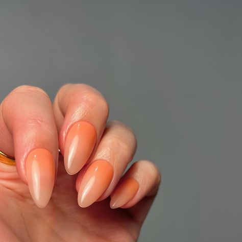 Peaches & cream 🍦🍑 Prep @officialnavyprofessional @labology3 Products @homeofnailart SwiftTips & Scallop Polish @nails_luxeofficial Bouquet Pressed Pigment Handcare @nails_luxeofficial Restore Oil & Nourish Cream #ombrenails #peachnails #southamptonnails #almondnails #gelnails #hona Creamsicle Nails, Peach Nails, Polish Nails, Cream Nails, Peaches Cream, Hand Care, Ombre Nails, Southampton, Nail Artist