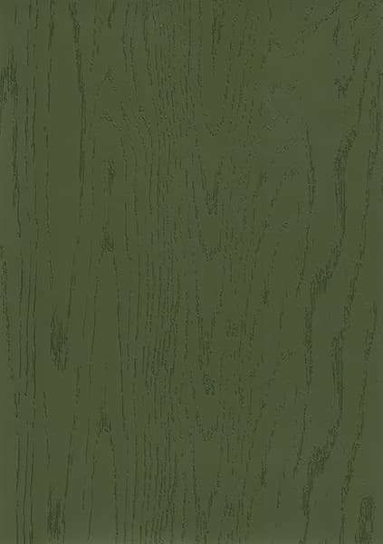 Green Wood Texture, Green Stained Wood, Green Laminate, Green Plywood, Painted Wood Texture, Wood Texture Seamless, Veneer Texture, Roblox House, Timber Veneer