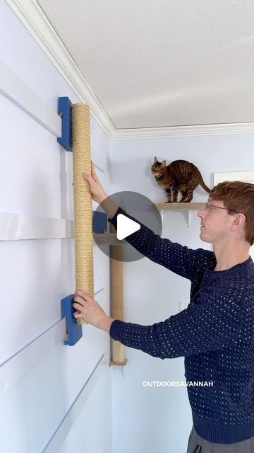 Modular Cat Wall, Cat Play Wall, Cat Jungle Gym Wall, Cat Climbing Wall Diy, Cat Shelves Diy Climbing Wall, Diy Cat Wall Ideas, Cat Playroom, Cats Room, Diy Climbing Wall