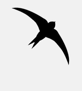 Swift Bird Tattoo, 30s House, Bat Anatomy, Swift Bird, Anchor Tattoo Design, Tattoo Bird, Bird Template, Ceramics Inspiration, Logo Shapes