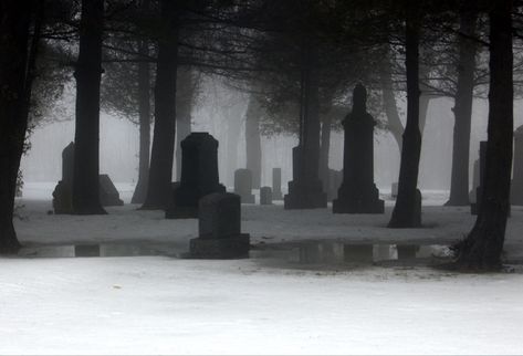 Emily Brontë, Red Colour Palette, Night Terror, Angel Aesthetic, Mary Shelley, Southern Gothic, Winter Scenery, Face Photo, Edgar Allan Poe