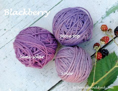 Dyed Yarn Diy, Diy Dye Clothes, Blackberry Bush, Baking Pies, Fabric Dyeing Techniques, Diy Dye, Natural Dye Fabric, Eco Dyeing, Purple Dye