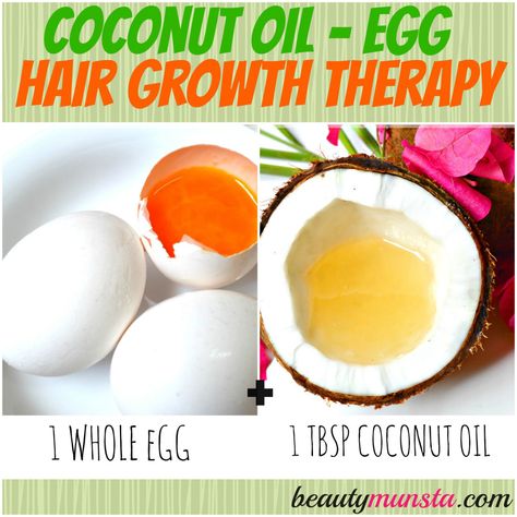 Eggs are super rich in protein & sulphur - two powerful ingredients for faster, thicker and longer hair growth. Guys, you gotta try this mask! Hair Mask With Coconut Oil, Thicker And Longer Hair, Egg Hair, Hair Growth Therapy, Oil For Curly Hair, Coconut Oil Hair Growth, Egg For Hair, Longer Hair Growth, Hair Mask Recipe