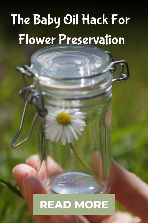 The Baby Oil Hack For Flower Preservation Flowers In Baby Oil Jar, Baby Oil Flower Jar, Flowers In Baby Oil, Perserving Flowers, Flowers Wilting, Preserving Flowers, Preserve Flowers, Fantastic Flowers, Flower Preservation