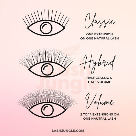 Eyelash Extensions Techniques, All Types Of Lash Extensions, Understanding Lash Mapping, Different Kinds Of Lash Extensions, Lash Extensions Techniques, Lash Extensions Explained, Lash Types Eyelash Extensions, Types Of Lashes Extensions, Different Types Of Eyelash Extensions