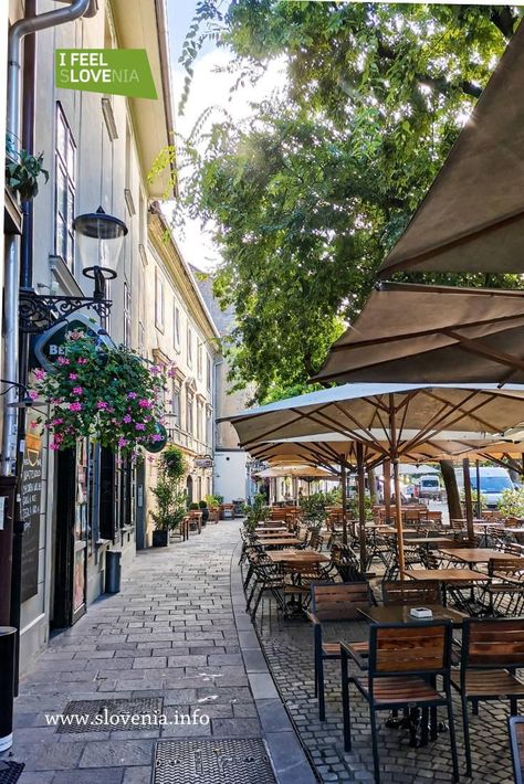 #feelslovenia Small town aesthetics: Ljubljana makes for a perfect Europe travel destination if you're planning a summer 2022 trip. Photo by @yulia.krokhina Novo Mesto, Ljubljana Slovenia, Change Your Perspective, Heart Of Europe, Green City, Europe Travel Destinations, Ljubljana, Medieval Town, Backpacking Travel