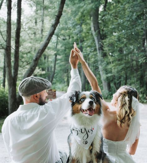 Engagement photos with dog Engagement Pictures With Dogs, Engagement Photos With Dog, Creative Couples Photography, Couple Engagement Pictures, Photos With Dog, Engagement Pictures Poses, Engagement Picture, Pictures Poses, Couples Photography