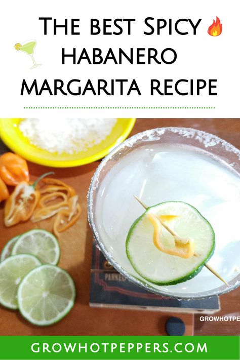 spicy margarita recipe with habanero, lime and silver tequila Jalapeno Margarita Recipe, Habanero Margarita, Spicy Margarita Recipe, Easy Margarita Recipe, Raspberry Mojito, Traditional Margarita, Clinton Kelly, Spicy Cocktail, Jalapeno Margarita