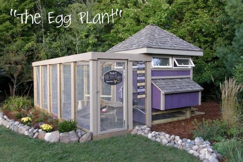 "The Egg Plant" Coop - BackYard Chickens Community Portable Chicken Coop, Chicken Coop Run, Egg Plant, Coop Design, Best Chicken Coop, Atami, Chicken Coop Designs, Coop Plans, Keeping Chickens