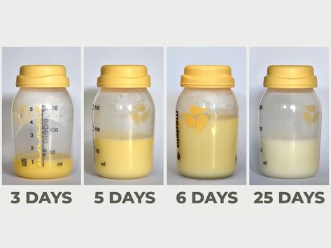 Preterm Labor, Pint Of Ice Cream, Human Milk, Breastmilk Supply, Lactation Cookies, Milk Storage, Breastmilk Storage, Milk Supply, Mayo Clinic