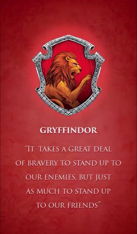 Harry Potter: Gryffindor Gryffindor Pride, Potter House, Gryffindor Aesthetic, Harry Potter Background, Harry Potter Cosplay, Buku Harry Potter, Anniversaire Harry Potter, Harry Potter Houses, Harry Potter Costume