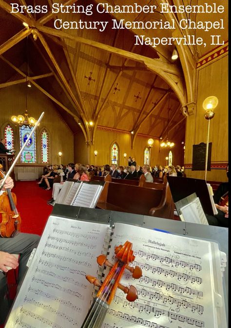 🎶 String Quartet for their lovely ceremony 🎻🎻🎻🎻 #violin #viola #cello #stringquartet #wedding #ceremony #Naperville #chapel #weddingmusic #Napervillewedding #CenturyMemorialChapel #NaperSettlement #classical #pop #music #ceremonymusic #elegant #livemusic #NapervilleMusic #strings #BSCE #theBSCE #BrassString #BrassStringChamberEnsemble 2000 Wedding, Wedding Ceremony Music, Wedding Musicians, Ceremony Music, Music For You, String Quartet, Music Library, Wedding Music, Wedding Ceremonies