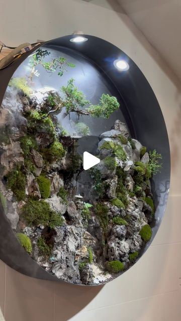 Mossarium Terrarium Malaysia on Instagram: "Exploring this wall with its own miniature mountain tucked inside has me feeling like an adventurer in a hidden world! 🌿🌵🌱 #TerrariumTreasures #HiddenGems #AdventureAwaits #terrarium #world #green #wall #plant #moss #interiordesign #interior" Terrarium Wall, February 10, Green Wall, Adventure Awaits, Terrarium, Miniatures, Plants, Wall, Green