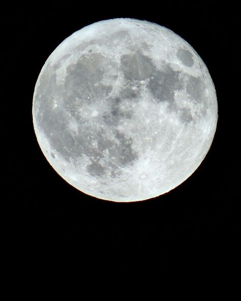 Did you see last nights Super Blue Moon? It was a beautiful sight rising over the mountains into some of the first clear skies we’ve had in awhile. This was the second full moon in a calendar month which is why we call it ‘blue’. The moon was also at its closest point to Earth in its orbit or perigee. When this happens we call it a super moon. Last night, the Super Blue Moon appeared about 14% larger and 30% brighter than a typical full moon due to its proximity to Earth at perigee. I... Moon Photography, Super Moon, Clear Sky, Beautiful Sights, Monthly Calendar, Blue Moon, Full Moon, Last Night, The Moon