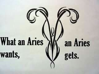 Don't forget this!! Zodiac Twins, Jupiter Sign, Saturn Sign, Girl Power Tattoo, All About Aries, Aries Baby, Aries And Sagittarius, Power Tattoo, Aries Traits