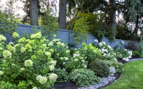 Using Layers to Wow in a Low-Water Shade Garden Hydrangea Landscaping, Garden Retaining Wall, Low Water Gardening, Limelight Hydrangea, Farmhouse Garden, Herbaceous Perennials, English Garden, Ground Cover, Shade Garden