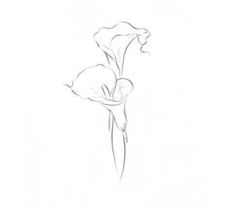 White Ink Script Tattoo, Alcatraz Flower Drawing, Minimal Tiger Tattoo For Women, Calla Lilly Tattoo Designs, Calla Lily Flower Tattoos, Arum Lily Drawing, Calililly Flower Drawing, White Calla Lily Tattoo, Cala Lily Tattoos