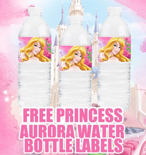 Princess Themed Food, Princess Aurora Party, Sleeping Beauty Birthday Party, Disney Princess Theme Party, Beauty Party Ideas, Sleeping Beauty Party, Disney Princess Birthday Party, Princess Decorations, Princess Birthday Cake