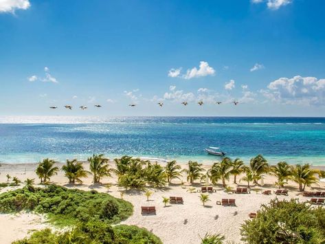 Tulum Ruins, Cancun Airport, Seagulls Flying, Best Beaches To Visit, Riviera Cancun, Houston Photography, Beach Retreat, Wedding Planning Services, Hidden Beach