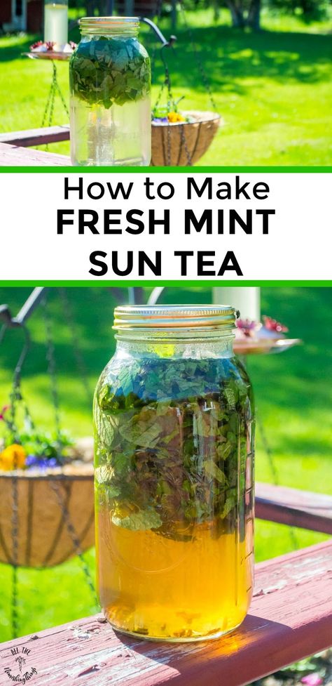 How to make fresh mint sun tea? It's such an easy and magical process, combining fresh-cut peppermint (any variety is fine), clean water, and pure sunshine. For a keto/low-carb mint sun tea, sweeten with stevia; otherwise, you can use raw honey or drink it plain. It's amazingly refreshing! #allthenourishingthings #peppermint #mint #suntea #gardening #offgrid #ketodrinks #herbs How To Make Mint Tea, Fresh Mint Iced Tea, Peppermint Recipes Fresh, How To Make Mint Tea With Fresh Mint, Fresh Spearmint Uses, How To Use Fresh Mint, Uses For Fresh Mint, Fresh Peppermint Recipes, Fresh Mint Uses