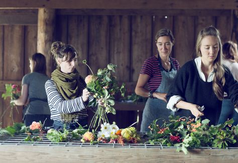 Floret + Amy Merrick Workshop - Floret Flowers Growing Floret, Farm Goals, Floret Flowers, Farm Dream, Flower Farming, Flower Growing, Enchanted Florist, Skagit Valley, Flower Farmer