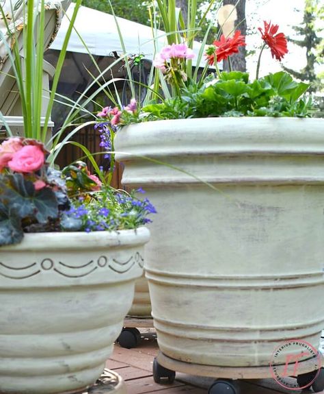 Terracotta Pots Paint Washed Vintage Charm Chalk Paint Terra Cotta Pots, Lavender In Terracotta Pot, Whitewashing Terra Cotta Pots, Weathered Terracotta Pots, French Garden Pots & Planters, French Country Mirrors, Large Terracotta Pots, Country Style Interiors, Terracotta Flower Pots