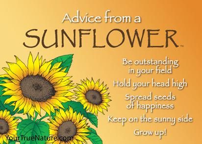 Advice from Your True Nature - Project Learning Tree Single Mother Quotes, Sunflower Quotes, Camping Photography, Womens Retreat, Quotation Marks, Single Words, Mother Quotes, True Nature, Nature Quotes