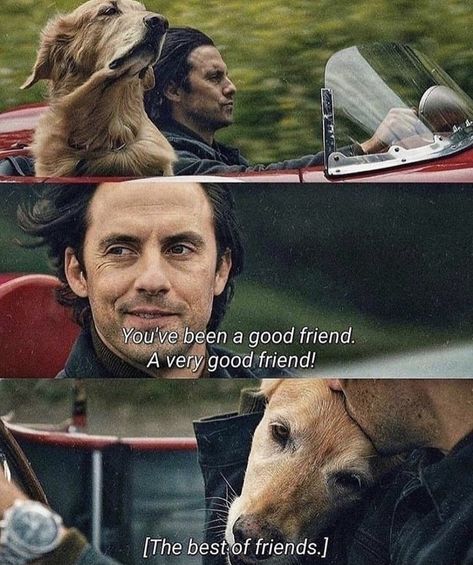 Life Movie Quotes, Racing In The Rain, A Dogs Purpose, Life Movie, Best Movie Quotes, Rain Quotes, Before We Go, Movie Quote, Character Quotes