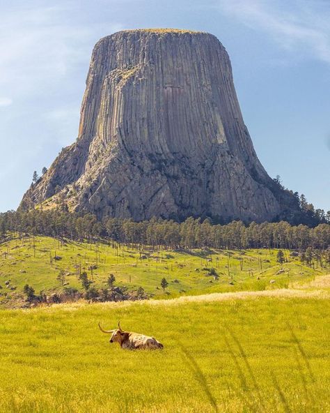 Ideology Matthew Devils Tower Wyoming, Devils Tower National Monument, Lamar Valley, Devils Tower, West Yellowstone, Mystical Places, Old Faithful, Park Ranger, American West