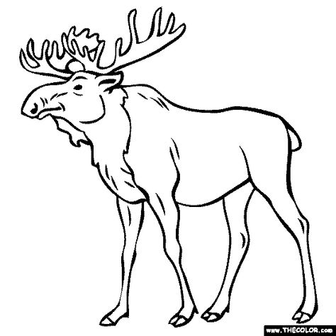 Free Moose Clipart Pictures - Clipartix How To Draw Deer, Draw Deer, Moose Clipart, Deer Coloring Pages, Deer Drawing, Pages To Color, Animal Categories, Painting Templates, Online Coloring Pages