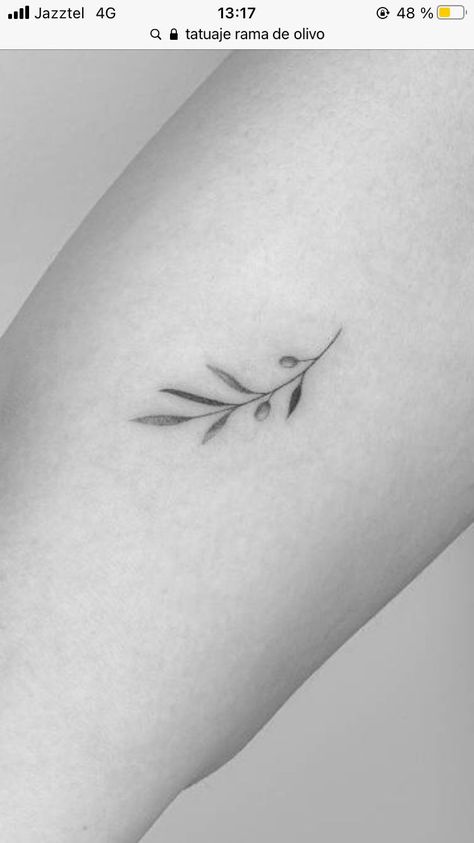 Minimal Italian Tattoo, Small Olive Tree Tattoo, Olive Tree Leaf Tattoo, Italian Inspired Tattoos For Women, Greek Inspired Tattoos Simple, Olive Branch Line Tattoo, Olive Branch Tattoo Finger, Italian Olive Branch Tattoo, Simple Italian Tattoos