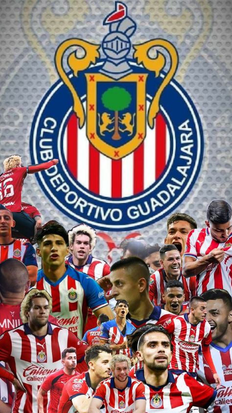 #chivas#fútbol#fyp#paratí Chivas Birthday Theme, Chivas Regal Snapchat Story, Chivas Regal Photography, Chivas Soccer, Club America Vs Chivas, Chivas Wallpaper, Ronaldo, The Beatles