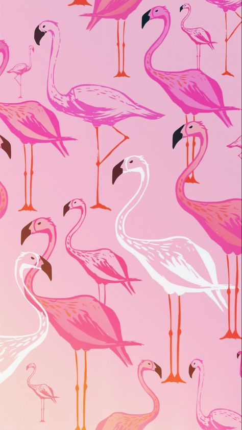 Pink Flamingo Wallpaper Iphone, Flamingo Pattern Design, Flamingo Iphone Wallpaper, Flamingo Wallpaper Iphone, Phone Astethic, Pair Wallpaper, Flamingo Aesthetic, Flamingo Background, Pink Flamingo Wallpaper