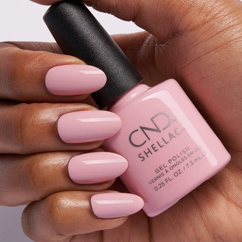 ❗️NEW❗️Carnation Bliss is a soft, cool-toned pink. Available for a limited time in #CNDShellac and #CNDVinylux. #CNDEnglishGarden Cool Toned Pink, Pink Shellac, Shellac Nail Colors, Cnd Shellac Nails, Shellac Colors, Cnd Shellac, Pink Nail Polish, Shellac Nails, Pink Nail