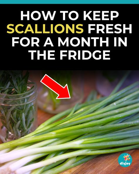 Did you know you can keep your scallions or green onions fresh for a month in your fridge? Yes, you can. Learn how to do it here. Keeping Green Onions Fresh, How To Keep Green Onions Fresh In Fridge, How To Keep Parsley Fresh In The Fridge, Storing Green Onions In Fridge, How To Keep Green Onions Fresh, How To Store Green Onions In Fridge, Storing Green Onions, Crown Royal Apple, Cheese Pull Apart