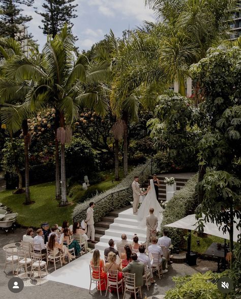 Lily Jacobs Bride ✨ All eyes on our beautiful bride Belle 🤍 The most gorgeous wedding in Madeira at The Savoy Palace ✨🌴 Congratulations to you both, we wish all the happiness & love, Tanya & Emma x Photographer: @whitesilkstudio Venue and Planning: @savoypalace DJ and cake sparklers: @xeventsmadeira Dress: @lilyjacobsbridal Decor & Flowers: @heartmade_sonhos Hair: @hairbyambscurl #destinationweddingphotographer #destinationwedding #destinationweddinginspiration #madeira #madeirawedding... Madeira Wedding, Cake Sparklers, Congratulations To You, Destination Wedding Inspiration, Decor Flowers, All Eyes, Gorgeous Wedding, All About Eyes, Beautiful Bride