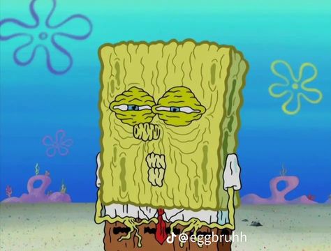 SpongeBob, meme, moods, reactions, funny memes, funny moods, funny reactions, SpongeBob memes, SpongeBob moods, SpongeBob reactions, mood pics, funny mood pics, funny reaction pics, reaction pics, funny SpongeBob memes, funny SpongeBob moods, funny SpongeBob reactions, funny SpongeBob mood pics, funny SpongeBob reaction pics, SpongeBob mood pictures, SpongeBob mood pics, SpongeBob reaction pics Realistic Spongebob, Spongebob Funny Pictures, Spongebob Faces, Spongebob Pics, Spongebob Cartoon, Funny Spongebob Memes, Response Memes, Current Mood Meme, Spongebob Funny