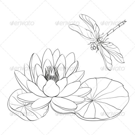 Water Lily and Dragonfly. - Flowers & Plants Nature Hur Man Ritar Blommor, Dragonfly Drawing, Lilies Drawing, Dragonfly Art, Pola Sulam, 수채화 그림, Water Lily, Silk Painting, Water Lilies